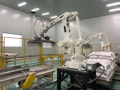 机器人码垛生产线